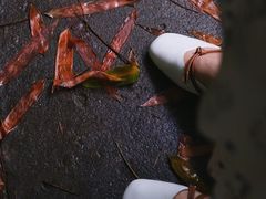 -西苑公园