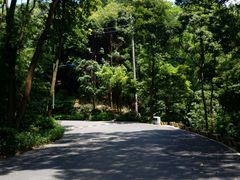 -广州市帽峰山景区