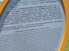 -南京眼步行桥