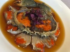 -子福慧(虹桥店)
