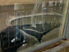 -辛玛王国游乐园