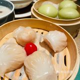 茶港 春日上新中