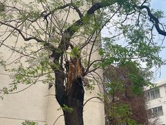 -广州市紫泥堂文化创意园景区