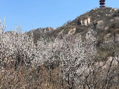 -北京凤凰岭