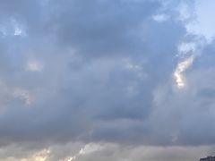 -上海动物园(地铁站)