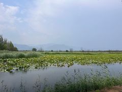 -野鸭湖国家湿地公园