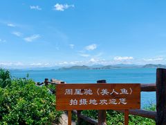 -杨梅坑