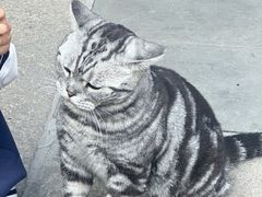 -龙华寺
