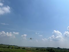 -空港花田景区