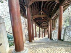 -庐山风景名胜区-东林大佛