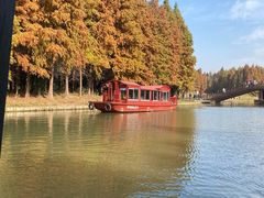 -溱湖国家湿地公园