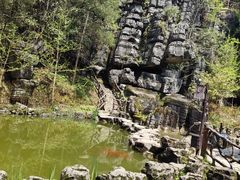 -梭布垭石林景区