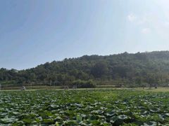 -南北湖风景区