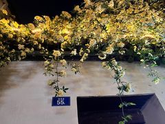 -青果巷历史文化街区