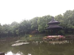 -天目湖山水园