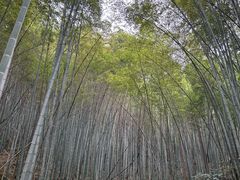 -敬亭山风景名胜区