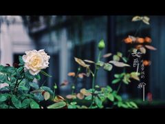 门面-福楼法餐厅FLO