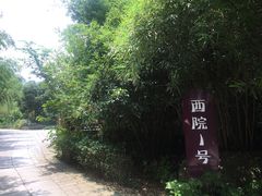 -西院1号(龙井店)