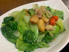 白灼罗马生菜-广州海鲜酒楼(长丰园店)