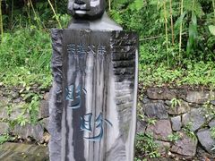 -都江堰中华大熊猫苑
