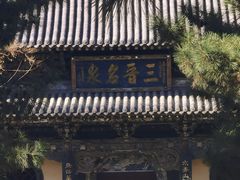 -晋祠公园