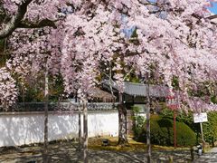 -醍醐寺