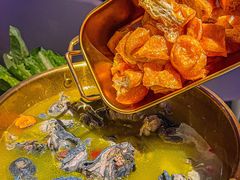 -Darling Queen·Mini·Live·House