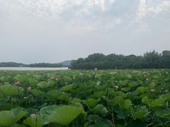 -云龙湖旅游景区