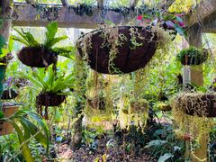 -中国科学院西双版纳热带植物园