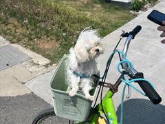 -东钱湖旅游度假区