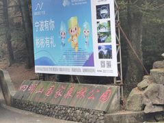 -四明山国家森林公园