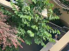 -上海市徐汇区口腔医院