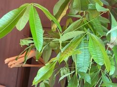 -满堂匠心川宴·私房菜(天府三街店)