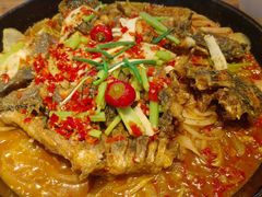 -老板恋上鱼(恒隆广场店)