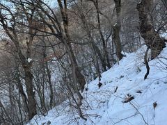 -终南山南五台景区