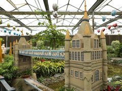 -南宫五洲植物乐园