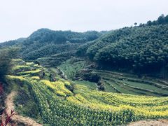 -灵山景区梯田