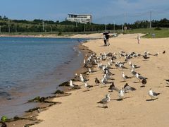 -海驴岛(荣成市)