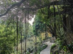 -乌山风景区