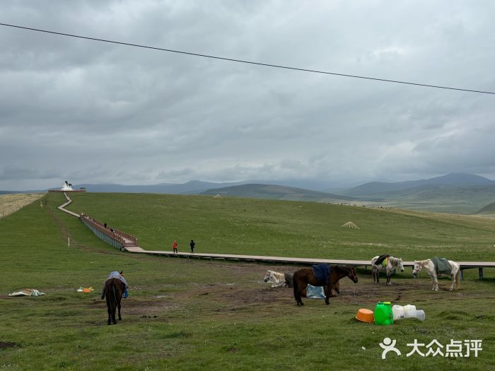 郭莽湿地图片