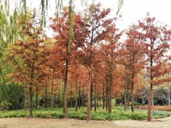 -杭州城北体育公园