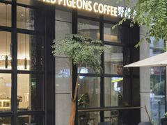 -野鸽子咖啡(中航店)
