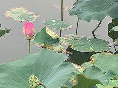 -西海子公园