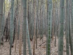 -南北湖风景区