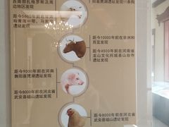 -北京动物园-畅观楼