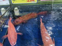-东江海鲜酒家(艺都分店)
