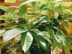 -小八仙·宴(三峡茶庄店)