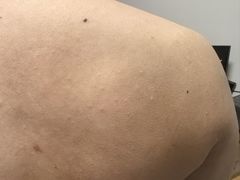 -深圳湾木棉花酒店