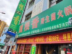 门面-菌根香