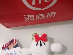 -海底捞火锅(铂澜大象城店)